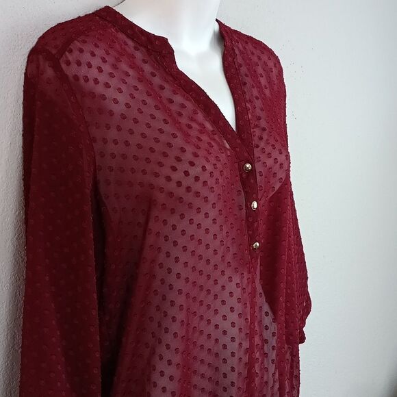 The Limited Women Burgundy Sheer Poka Dot Long Sleeve Top Sz M - Picture 4 of 11
